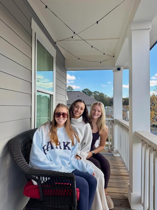 Governance and board work